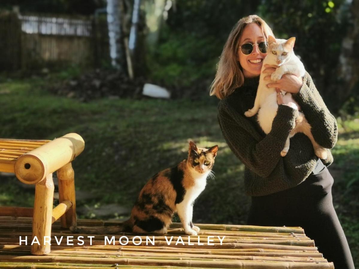 Harvest Moon Valley Ban Pang Luang Exterior foto