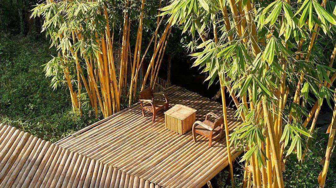 Harvest Moon Valley Ban Pang Luang Exterior foto