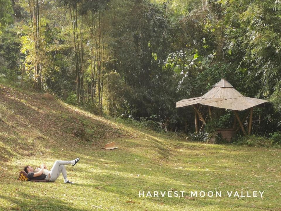 Harvest Moon Valley Ban Pang Luang Exterior foto